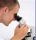 Biologia Forense: conhecimentos da Biologia aplicados na resolução de crimes