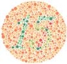 Teste de Ishihara: usado para identificar o daltonismo