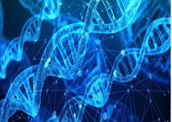 Eletroforese: separação do DNA