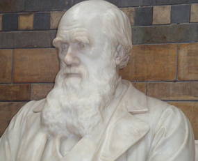 Estátua de Charles Darwin