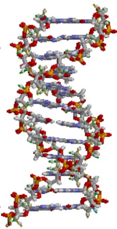Ilustração de uma estrutura de DNA