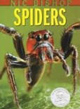 Indicação bibliográfica para o estudo de aranhas