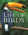Indicação bibliográfica para o estudo de Aves