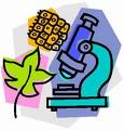 Indicação bibliográfica para o estudo de Biotecnologia