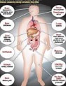 Indicação bibliográfica para o estudo sobre Obesidade