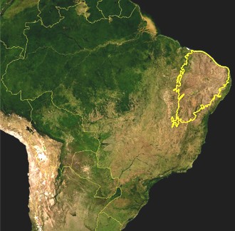 Localização do bioma Caatinga