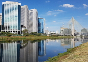 Rio Pinheiros: poluição por esgoto e resíduos industriais
