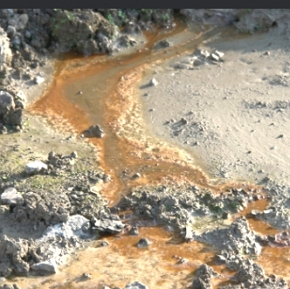 Foto de um solo contaminado por produto químico